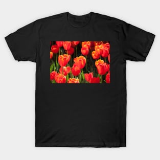 Painting Flowers T-Shirt